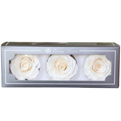 China Wholesale Category 7-8cm Celebration 3pcs An Eternity Rose Preserved Roses Box for Wedding Valentine's Day Gift for sale