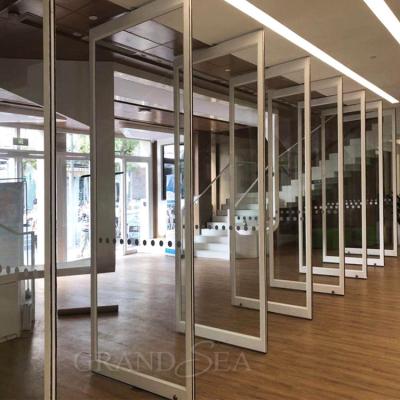 China Magnetic Commercial Design Custom Aluminum Pivot Modern Glass Screen Door Exterior For Project for sale