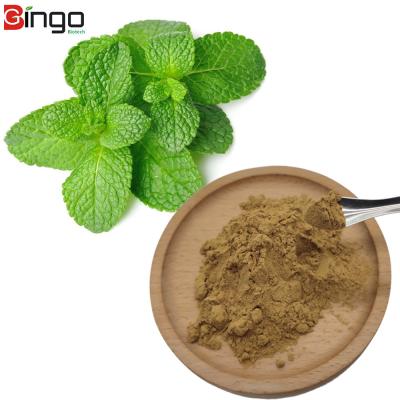 China Raw Materials For Cosmetics Manufacturing Pure Natural Herb Mint Extract Powder For Healthy Products for sale