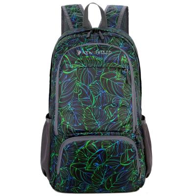 China 2021 New Cartoon Printing Style Lightweight Polyester Outdoor Travel Hiking Backpack for sale