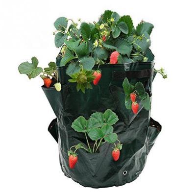 China Economic Free Shipping PE Planting Bag Potato Home Gardening Vegetable Tomato Plant Grow Bag for sale