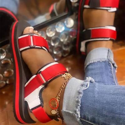 China Fashion Trend Design Buckle Strap Women Summer Shoes Peep Toe Rubber Sole Chunky Heels Women's Flat Sandals for sale