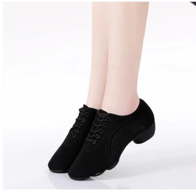 China Adult Breathable Stage Performance And Comfortable Non Slip Dance Training Shoes For Indoor Practice for sale