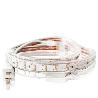 China Christmas Decoration Decoration 220v Led Strip Light High Voltage 2835 LED Strip Lights for sale