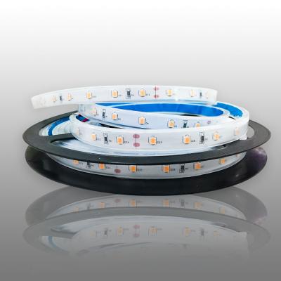 China Bathroom Bathroom Led Strip With 2835 Silicone IP67 Led Light 6000K Led Strip for sale