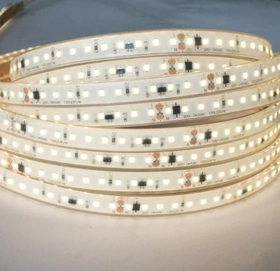 China Theme park 200-240V high voltage 100-120V led strip light 10cm/cut IP68 silicone inside waterproof no daapter no plug for sale