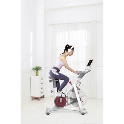 China Use at Home 2021 EU Warehouse One Set Drop Shipping Good Quality Exercise Fitness Gym Yesoul S3 Smart Commercial Spinning Bike for sale