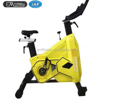 China Fitness Center Indoor Commercial Exercise Bike Swing Spin Bike EM7300 for sale