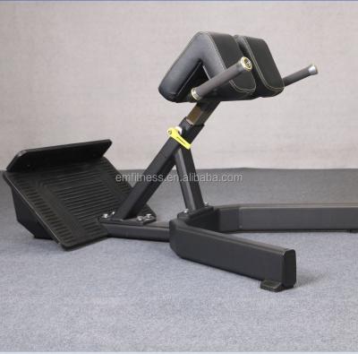 China Hot Sales Steel Back Extension /fitness Equipment Commercial Grade EM1046 for sale