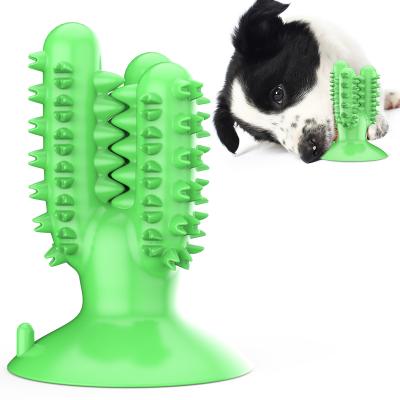 China Dog Rubber Molar Toothbrush Stick Sucker Cactus Chew Special Viable Hot Selling Oral Cleaning Toy for sale