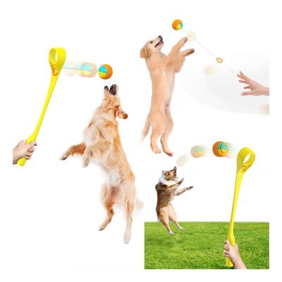 China Good Quality Viable Wholesale Customized Popular Product Interactive Toys For Pets Dog Throwing Ball for sale