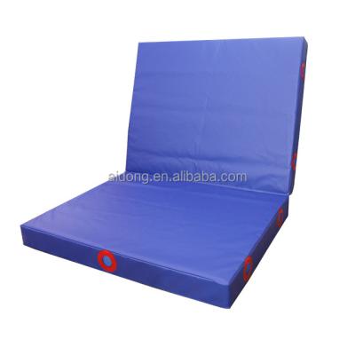 China Best Quality Factory Wholesale Price Professional Gym Fitness Training Gymnastic Mats for sale