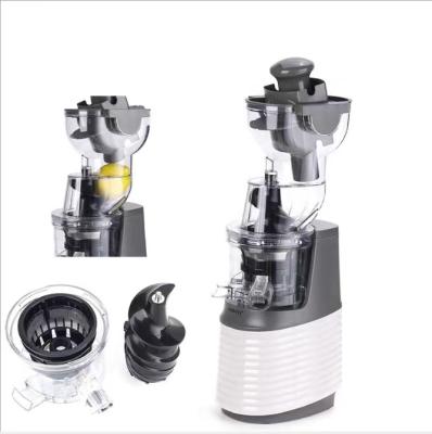 China 2021 Hot Sale 6 Blades 300W Commercial Household Professional Carrot Juice Extractor Machine for sale