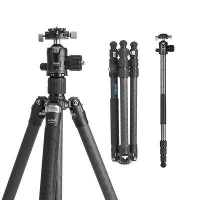 China CAVIX PORTABLE Professional Carbon Fiber Heavy Duty Tripod with Stable Tripod Ball Head for Slr Mirrorless Cameras and Camcorders for sale