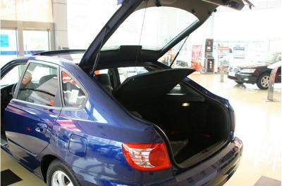 China Automotive gasveren, veren en dempers gas Te koop