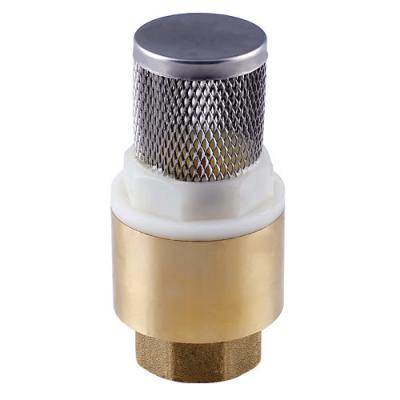 China with stainless steel filter spring brass check valve NPT BSPT 1/2