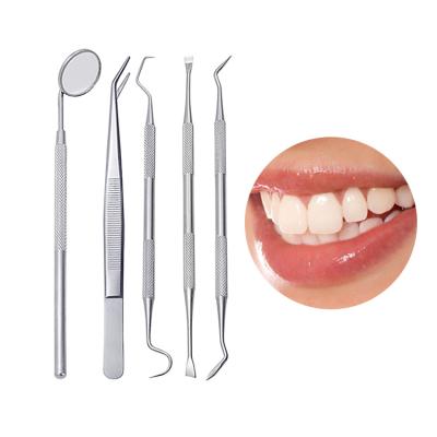 China Oral Teeth CleaningTools with Mouth Mirror Teeth Cleaner and Selection Dental Scaler Care Tool Kit Oral Care for Adults and Pets Tools Stainless Steel Dental Tooth Scraper for sale