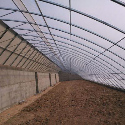 China Covering Plates Netting Garden Greenhouse Plastic Roof Panels Transparent Pet Sheet for sale