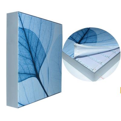 China Adertising Display Aluminum Extrusion Wall Mount Profile Poster Frame Led Aluminum Light Box Frame for sale