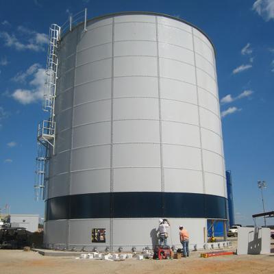 China Cooking Fuel Enamel Set Tank Biogas Container Methane for sale