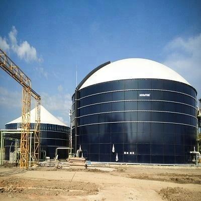 China China BSL heating system low price anaerobic biogas digester on sale from factory for sale