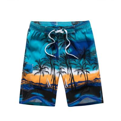 China New QUICK DRY beach pants for men European and American shorts for men's five-hundred casual pants with coconut print for sale