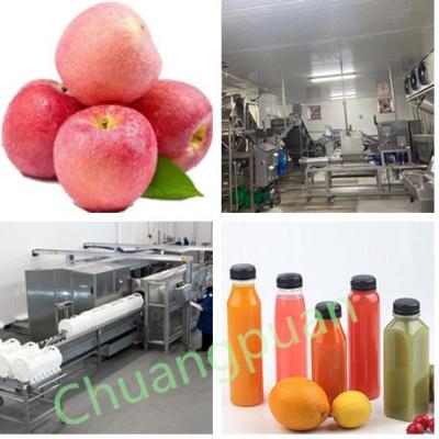 China 380V 50Hz 15T Apfelsaft-Produktionslinie Kaltpressierung zu verkaufen