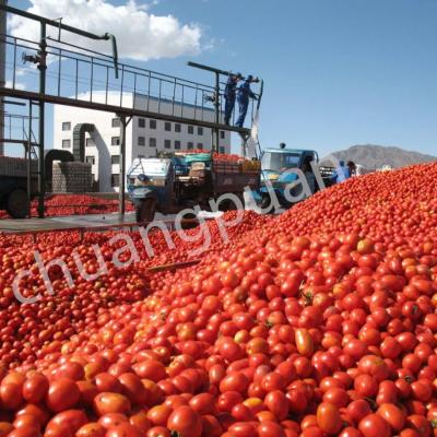 China Tomatensoße Produktionslinie für Tomaten Ketchup Tomatensoße 415V Spannung zu verkaufen