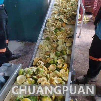 China Línea de producción automática de jugo de naranja controlada por PLC en venta