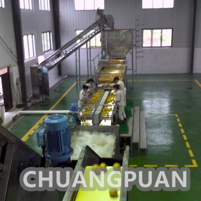 China 0.4-0.6MPa 50Hz Línea de producción de jugo de naranja de acero inoxidable en venta