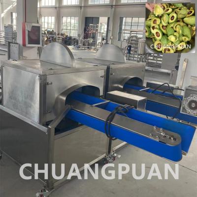 China angepasste 1 - 10T/h Avocado-Zellstoffverarbeitungsmaschine mit automatischer Steuerung zu verkaufen