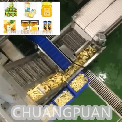 Cina 10- 20Brix NFC/HPP Macchina di lavorazione del succo di ananas per una produzione fluida in vendita