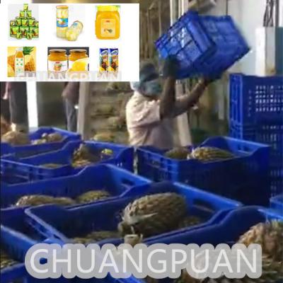 Cina 10-20Linea di lavorazione di succo di ananas NFC HPP di Brix con oltre 10 anni di storia in vendita