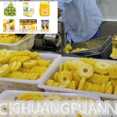 China Spezialisierte SS304-Produktionslinie für in Dosen geschnittene Ananas, Kapazität 0,5-15 Tonnen/h zu verkaufen