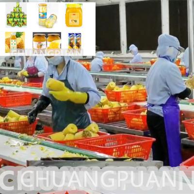 Cina 5a linea di trasformazione alimentare di ananas in scatola con funzionamento automatico in vendita