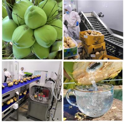 China High Automatic Degree Coconut Processing Machine For Coconut Milk Production for sale