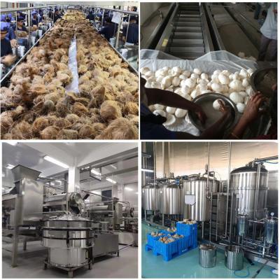 China Stainless Steel Coconut Processing Machine Within CPA-CW For Coconut Milk for sale