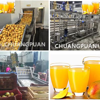 China Customizable Mango Pulp Processing Plant for Fruit Process Capacity 1-10T/H for sale