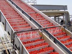 automatic tomato paste production line