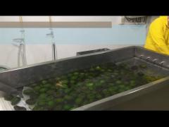 How To Processing HPP Or Cool Avocado Pulp ？Let