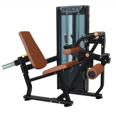 China High Quality Commercial Use Fitness Manufacturer Supply Sport Machine Gym Equipment Gym Equipment Seated Leg Buckle for sale