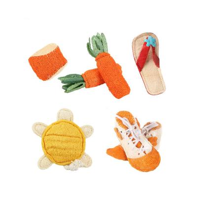 China Modern Viable Simplicity Dog Teeth Toy Carrot Molar Loofah Chewing Molar Dog Toy Wholesale for sale