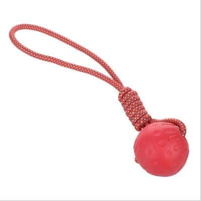 China Hot Selling Ball Resistant Not Bad Bouncy Dogs Knot Dog Toy Dogs Bite Rope Interactive Gathering Training Toy for sale