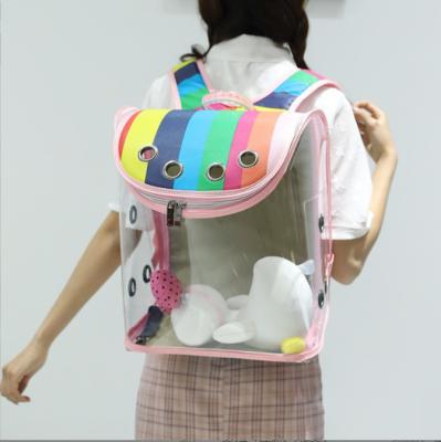 China Portable Pet Backpack Large Capacity Panorama Cat Bag Transparent Porous Breathable Double Stored - Shoulder Space Bag Wholes for sale