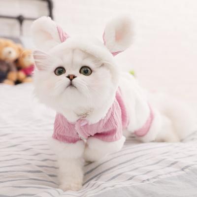 China Wholesale Viable Pet Cat Thick Warm Winter Clothes Cat Costumes Clothes Dogs Cute Fashion Design for sale