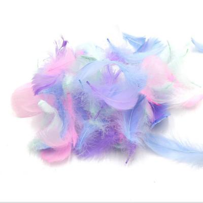 China BOX 2172 5-8cm Feather 100pcs Gift Box Decoration Filling DIY Handmade Feather for sale