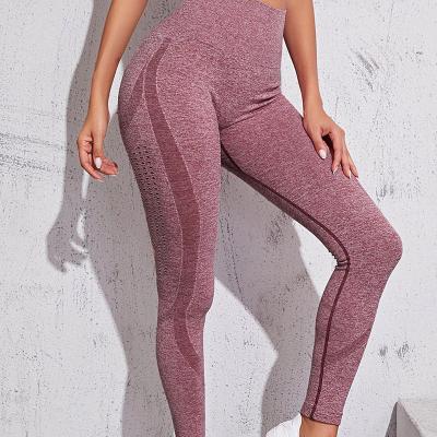 China Lady's High Quality Gym Wear Breathable Yoga Wear Gaiters High Waisted Leggings Mesh Workout Mesh Fitness Leggings for sale