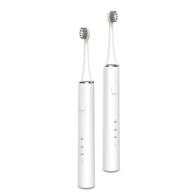 China Battery Powered Electric Toothbrush Professional Packing With Great Price for sale