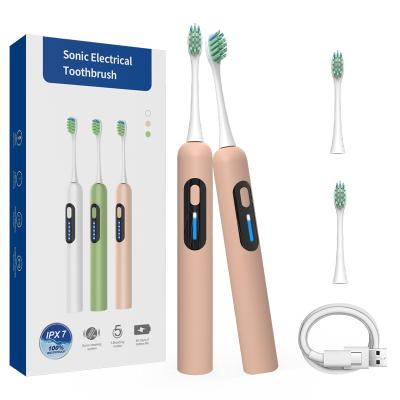 China Teeth Cleaning New Wholesale Rechargeable Ultrasonic Head Electric Adult Deep Cleaning Electric Toothbrush For Adult for sale