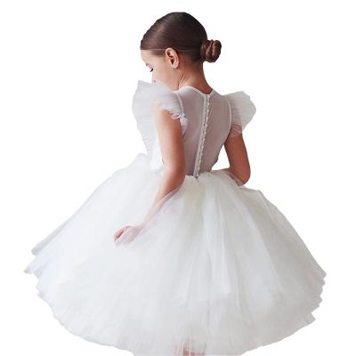 China Functional Children's Autumn Baby Girls Dress Princess Customized Best Price for sale